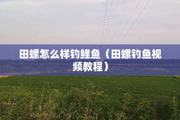 田螺怎么样钓鲤鱼（田螺钓鱼视频教程）