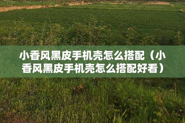 小香风黑皮手机壳怎么搭配（小香风黑皮手机壳怎么搭配好看）