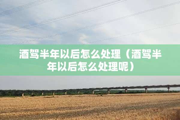 酒驾半年以后怎么处理（酒驾半年以后怎么处理呢）