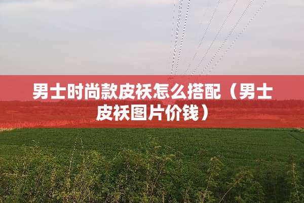 男士时尚款皮袄怎么搭配（男士皮袄图片价钱）