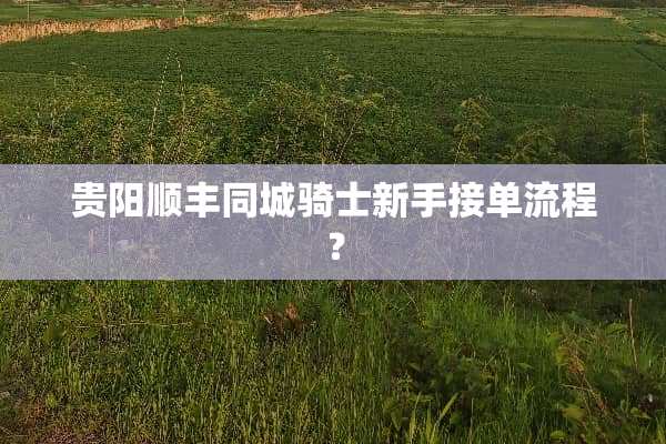 贵阳顺丰同城骑士新手接单流程？