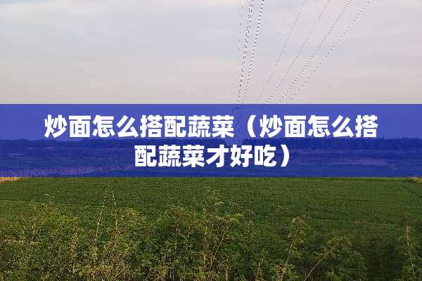 炒面怎么搭配蔬菜（炒面怎么搭配蔬菜才好吃）