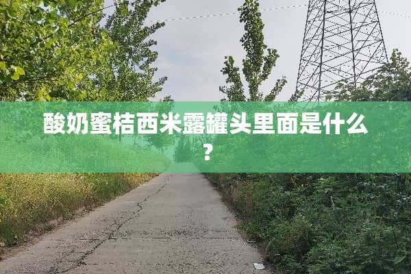 酸奶蜜桔西米露罐头里面是什么？