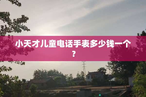 小天才儿童电话手表多少钱一个？