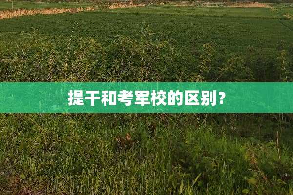 提干和考军校的区别？