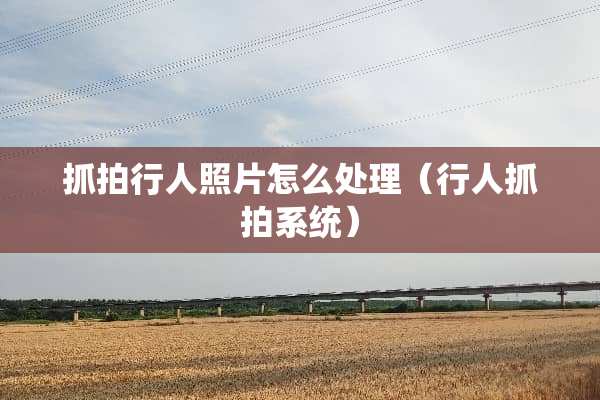 抓拍行人照片怎么处理（行人抓拍系统）