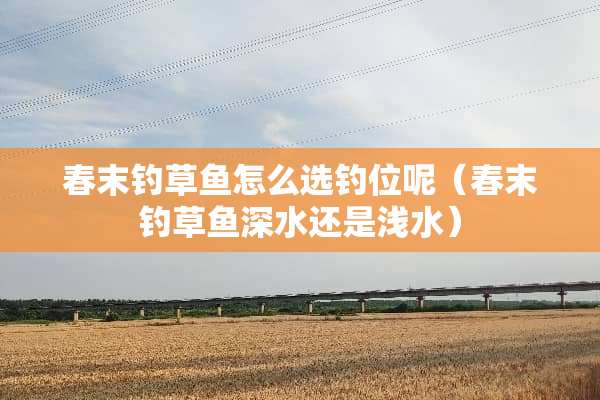 春末钓草鱼怎么选钓位呢（春末钓草鱼深水还是浅水）
