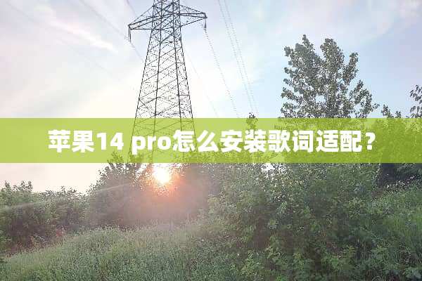 苹果14 pro怎么安装歌词适配？