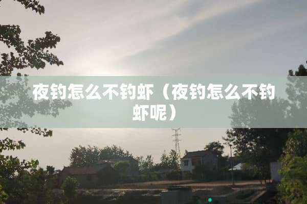 夜钓怎么不钓虾（夜钓怎么不钓虾呢）