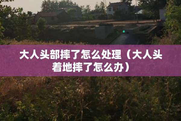 大人头部摔了怎么处理（大人头着地摔了怎么办）