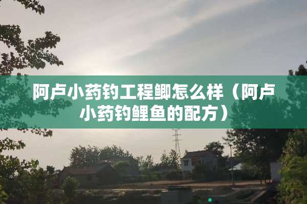 阿卢小药钓工程鲫怎么样（阿卢小药钓鲤鱼的配方）
