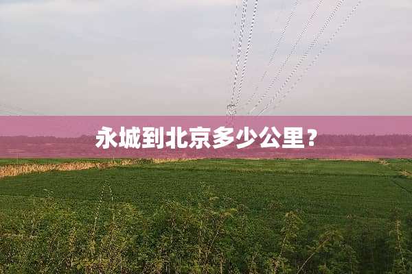 永城到北京多少公里？
