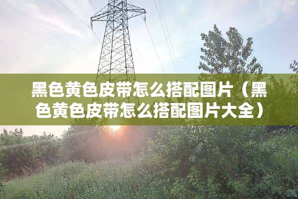 黑色**皮带怎么搭配图片（黑色**皮带怎么搭配图片大全）
