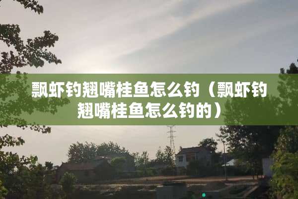 飘虾钓翘嘴桂鱼怎么钓（飘虾钓翘嘴桂鱼怎么钓的）
