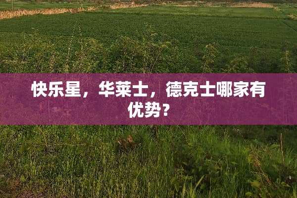快乐星，华莱士，德克士哪家有优势？