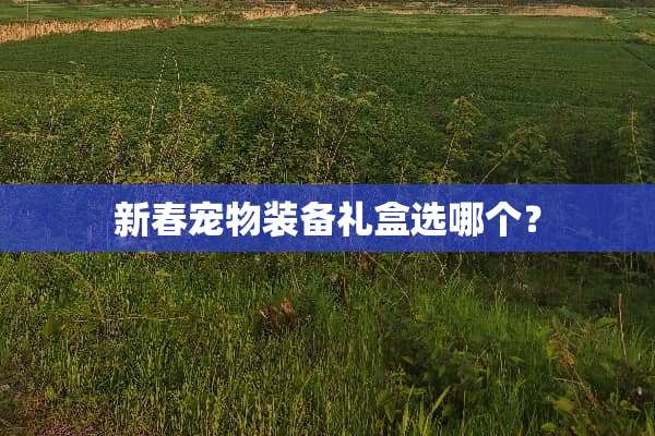 新春宠物装备礼盒选哪个？
