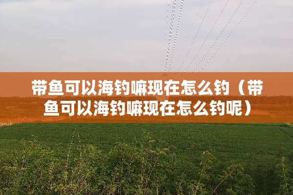 带鱼可以海钓嘛现在怎么钓（带鱼可以海钓嘛现在怎么钓呢）