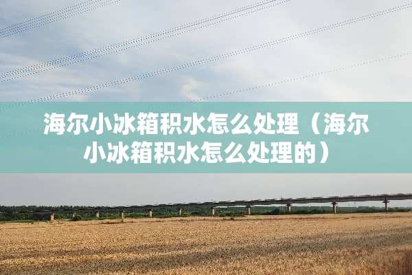 海尔小冰箱积水怎么处理（海尔小冰箱积水怎么处理的）