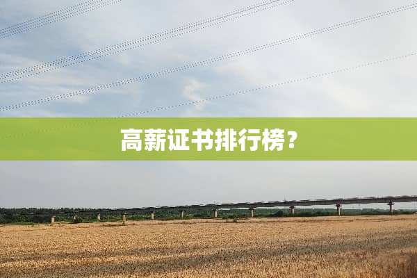 高薪证书排行榜？