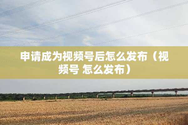 申请成为视频号后怎么发布（视频号 怎么发布）