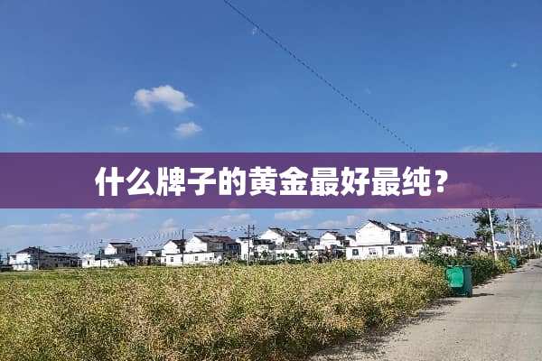 什么牌子的黄金最好最纯？