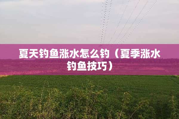 夏天钓鱼涨水怎么钓（夏季涨水钓鱼技巧）