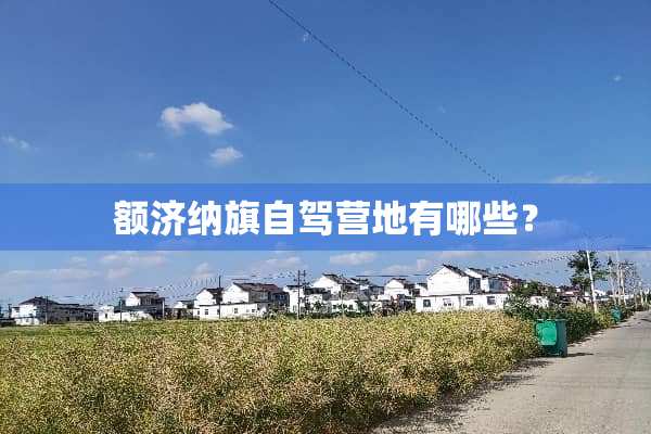 额济纳旗自驾营地有哪些？