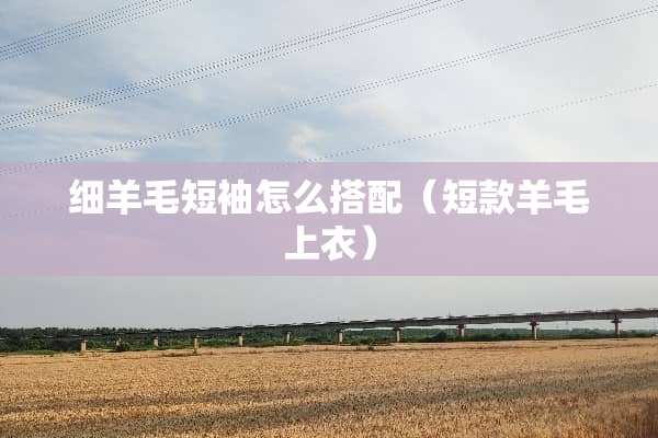 细羊毛短袖怎么搭配（短款羊毛上衣）