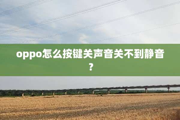 oppo怎么按键关声音关不到静音？