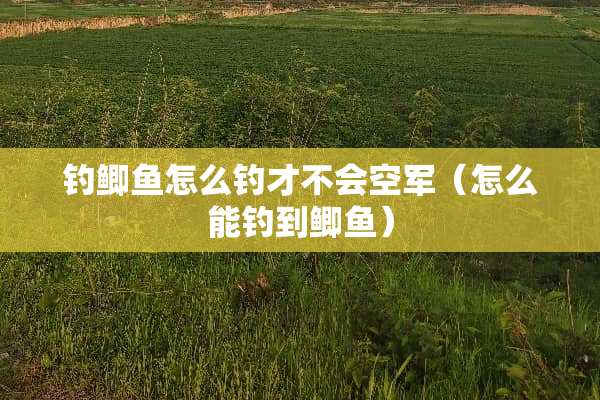 钓鲫鱼怎么钓才不会空军（怎么能钓到鲫鱼）