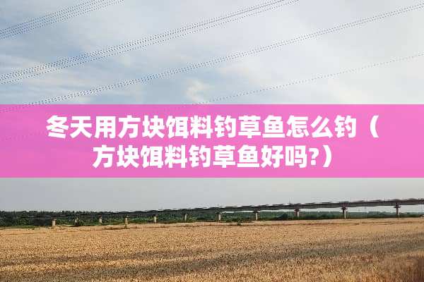 冬天用方块饵料钓草鱼怎么钓（方块饵料钓草鱼好吗?）