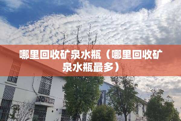 哪里回收矿泉水瓶（哪里回收矿泉水瓶最多）