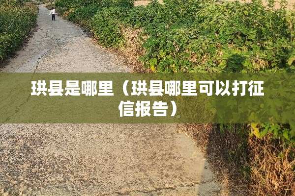 珙县是哪里（珙县哪里可以打征信报告）