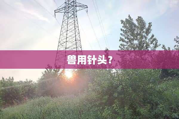 兽用针头？