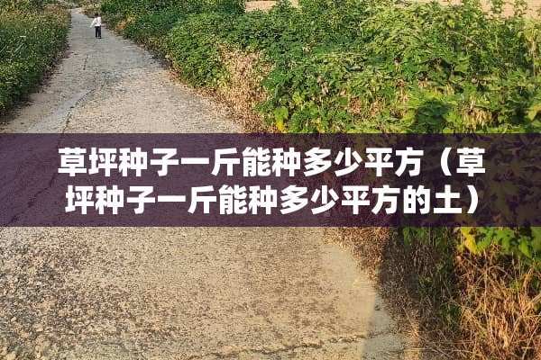 草坪种子一斤能种多少平方（草坪种子一斤能种多少平方的土）