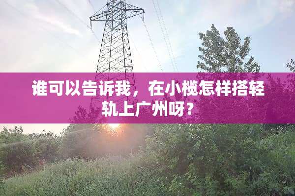 谁可以告诉我，在小榄怎样搭轻轨上广州呀？