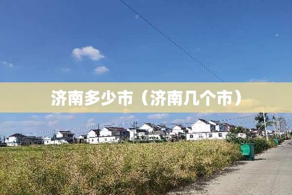 济南多少市（济南几个市）