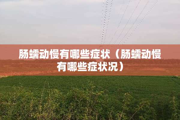 肠蠕动慢有哪些症状（肠蠕动慢有哪些症状况）