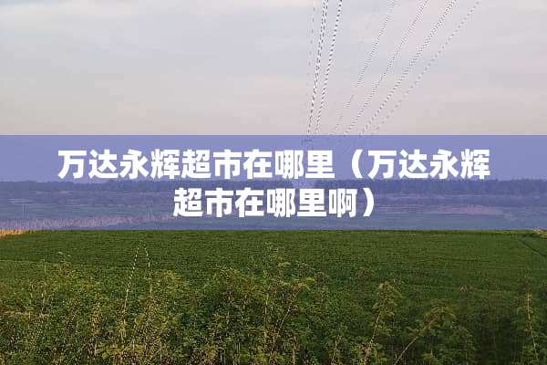 万达永辉超市在哪里（万达永辉超市在哪里啊）