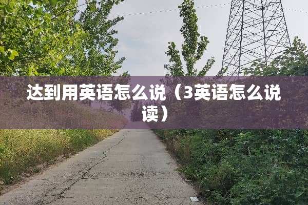 达到用英语怎么说（3英语怎么说读）