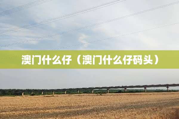 **什么仔（**什么仔码头）