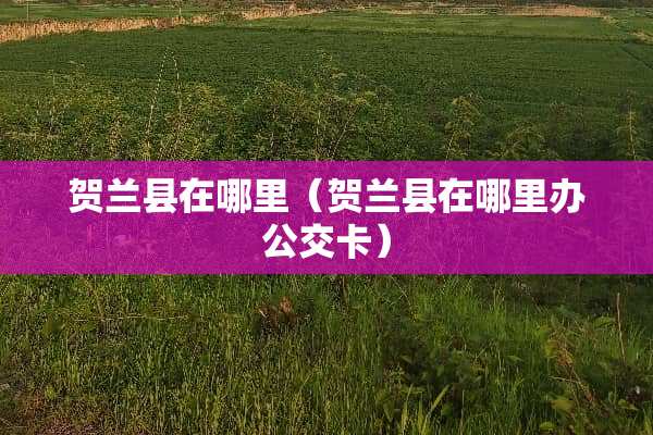 贺兰县在哪里（贺兰县在哪里办公交卡）