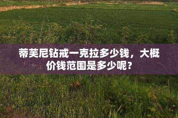 蒂芙尼钻戒一克拉多少钱，大概价钱范围是多少呢？