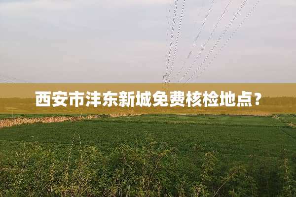 西安市沣东新城免费核检地点？