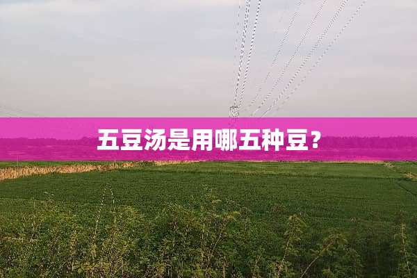五豆汤是用哪五种豆？
