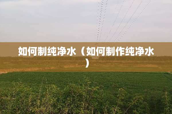 如何制纯净水（如何制作纯净水）