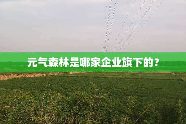 元气森林是哪家企业旗下的？