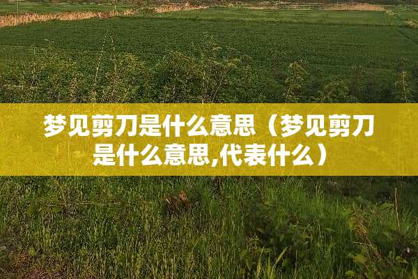 梦见剪刀是什么意思（梦见剪刀是什么意思,代表什么）