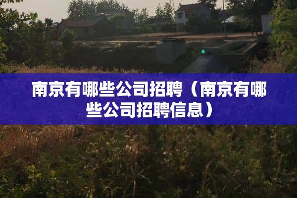 南京有哪些公司招聘（南京有哪些公司招聘信息）