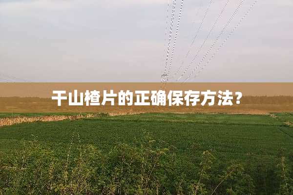 干山楂片的正确保存方法？